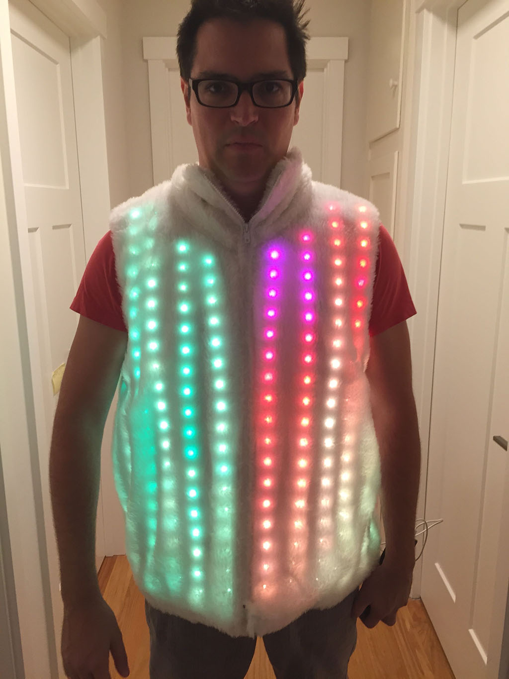 Wearable VEST – LED Project